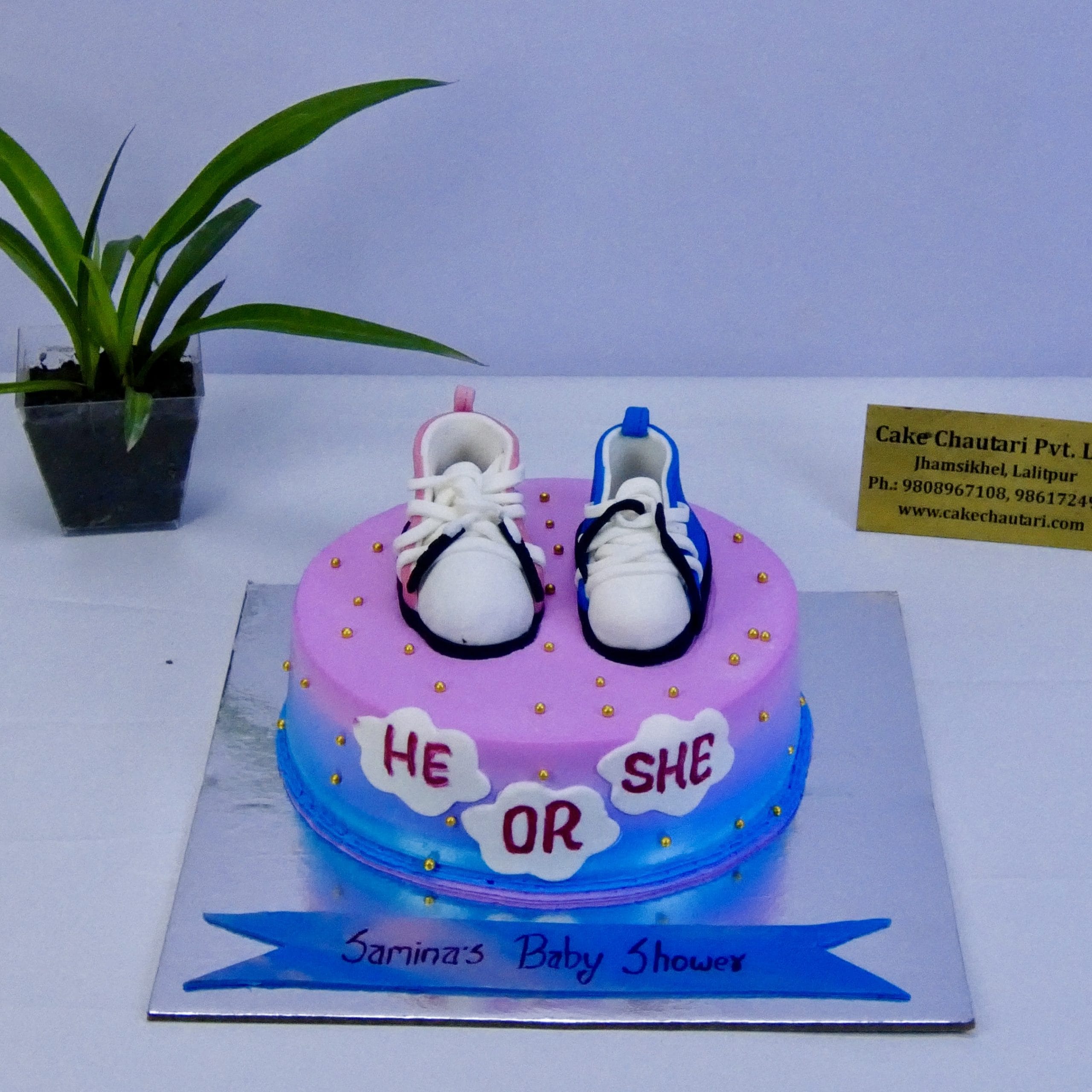 He or She Baby Shower Cake – Sweet Surprise for Precious Moments